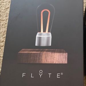 COPY - Flyte chrome walnut light set the light fr…